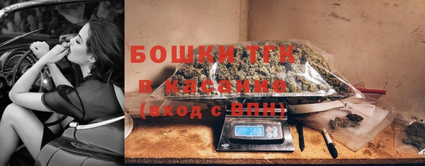 сатива Армянск
