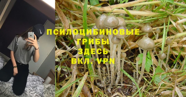 круглые Арсеньев